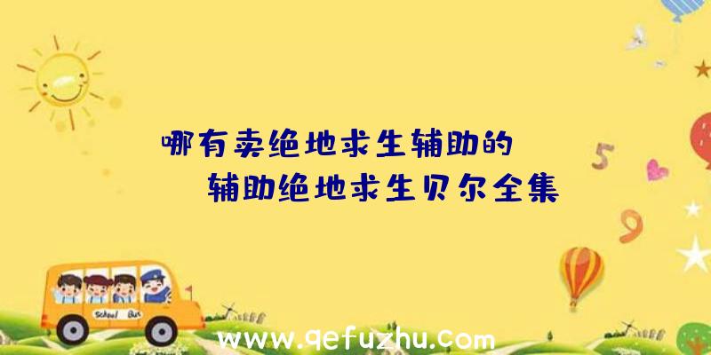 「哪有卖绝地求生辅助的」|black辅助绝地求生贝尔全集